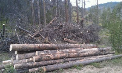 Low Impact Logging | Grand County Fencing