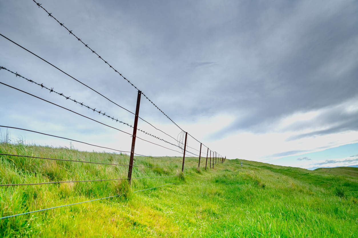 Barbed Wire Fence | Grand County, Colorado
